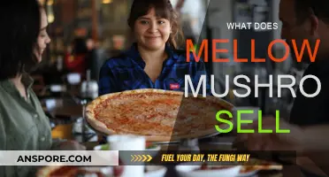 Mellow Mushroom: Pizza, Craft Beer, and More