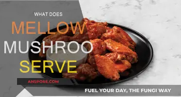 Mellow Mushroom's Menu: Delicious Pizza and More