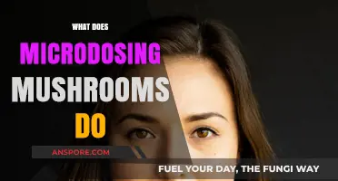 Microdosing Mushrooms: Benefits and Effects