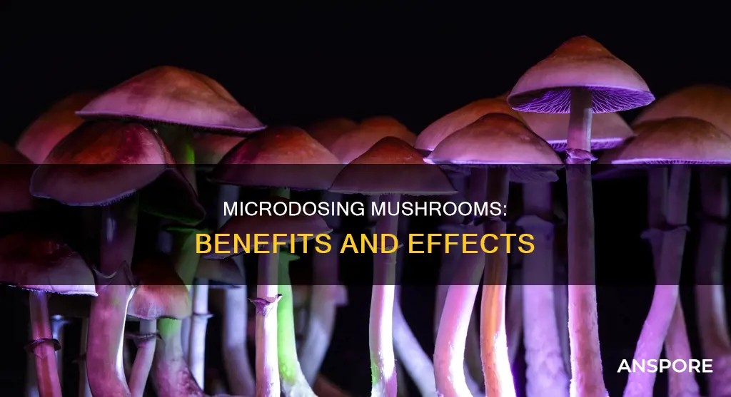 what does microdosing mushrooms do