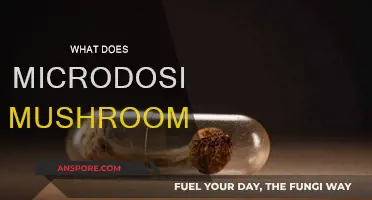Microdosing Mushrooms: Benefits, Risks, and Legality