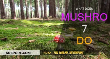 Mushroom 7: Enhancing Your Health and Wellness