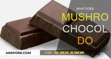 Mushroom Chocolate: A Healthy, Happy Treat?