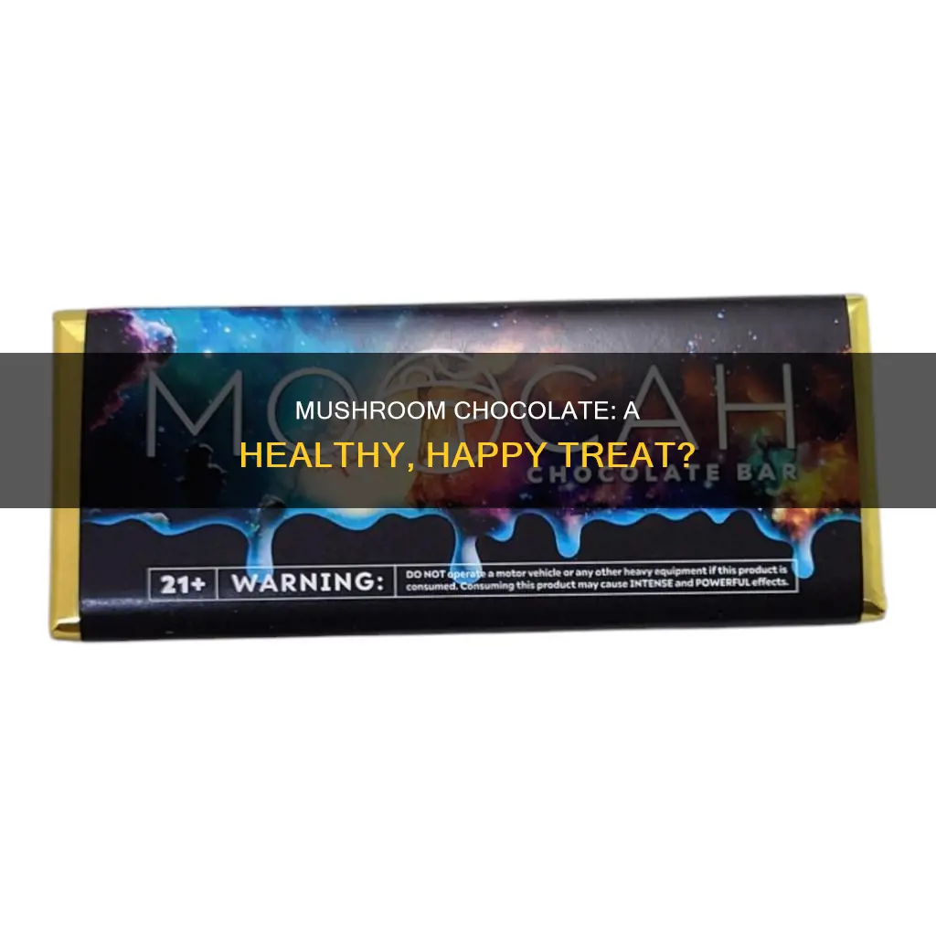 what does mushroom chocolate do