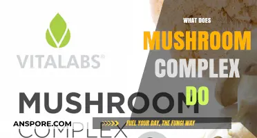 Mushroom Complex: Nature's Superfood for Your Health