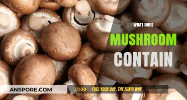 Mushrooms: Nutrition Facts and Health Benefits