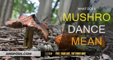 Mushroom Dance: A Spiritual Experience