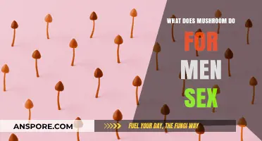 Mushroom Benefits for Men's Sexual Health: Enhancing Performance and Libido