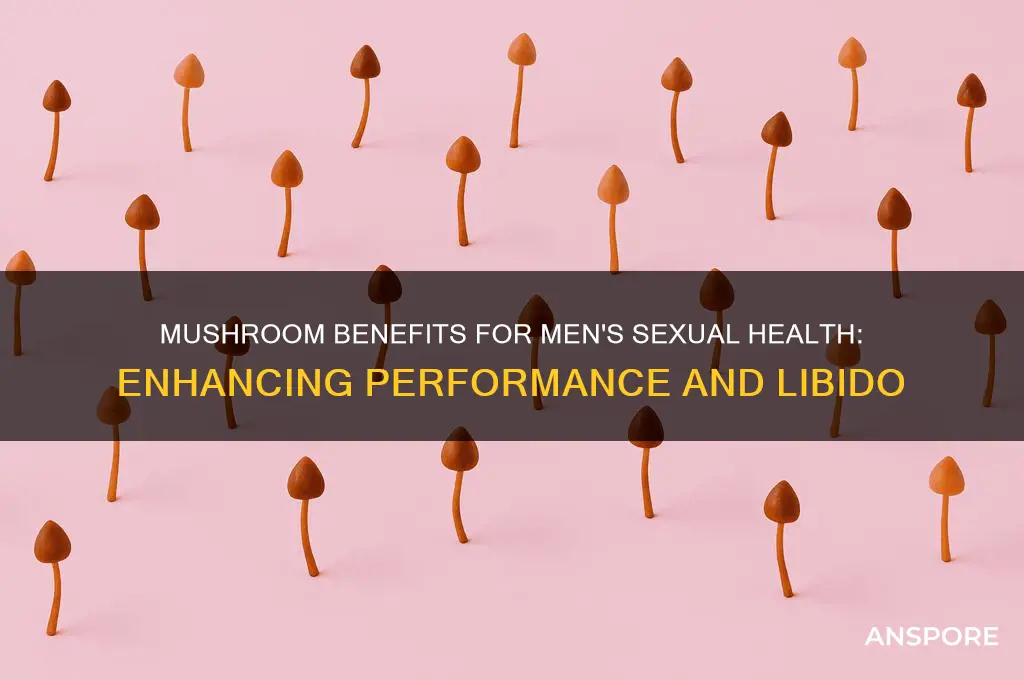 what does mushroom do for men sex