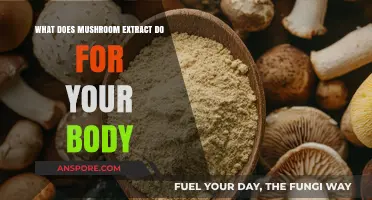 Unlocking Health Benefits: How Mushroom Extract Boosts Your Body