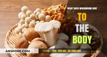 Mushroom Benefits: Nutrients, Immunity, and Health Boosts Explained