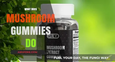 Mushroom Gummies: Benefits and Effects