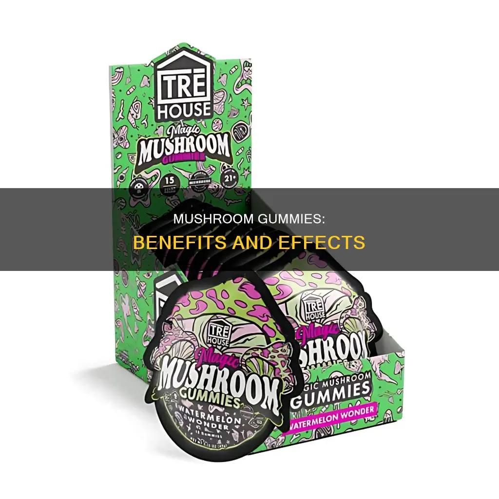 what does mushroom gummies do