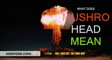 Mushroom Head: What Does It Mean?