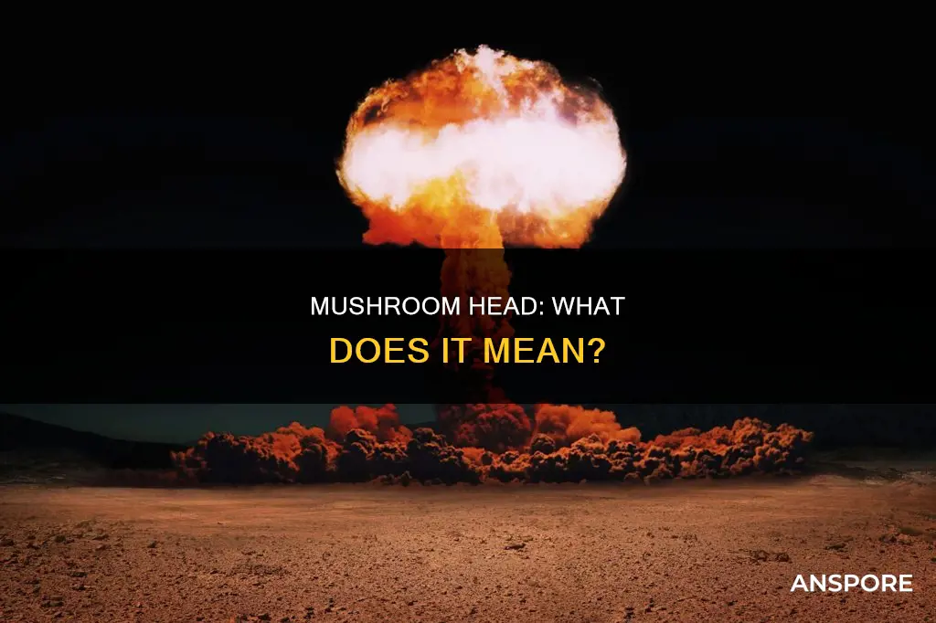 what does mushroom head mean