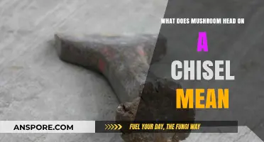 Understanding the Mushroom Head: A Chisel Design Explained