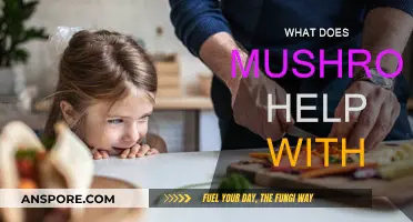 Mushrooms: Superfood for Your Health and Wellness