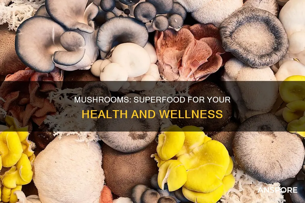 what does mushroom help with