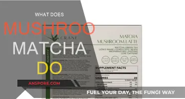 Mushroom Matcha: Benefits and Uses