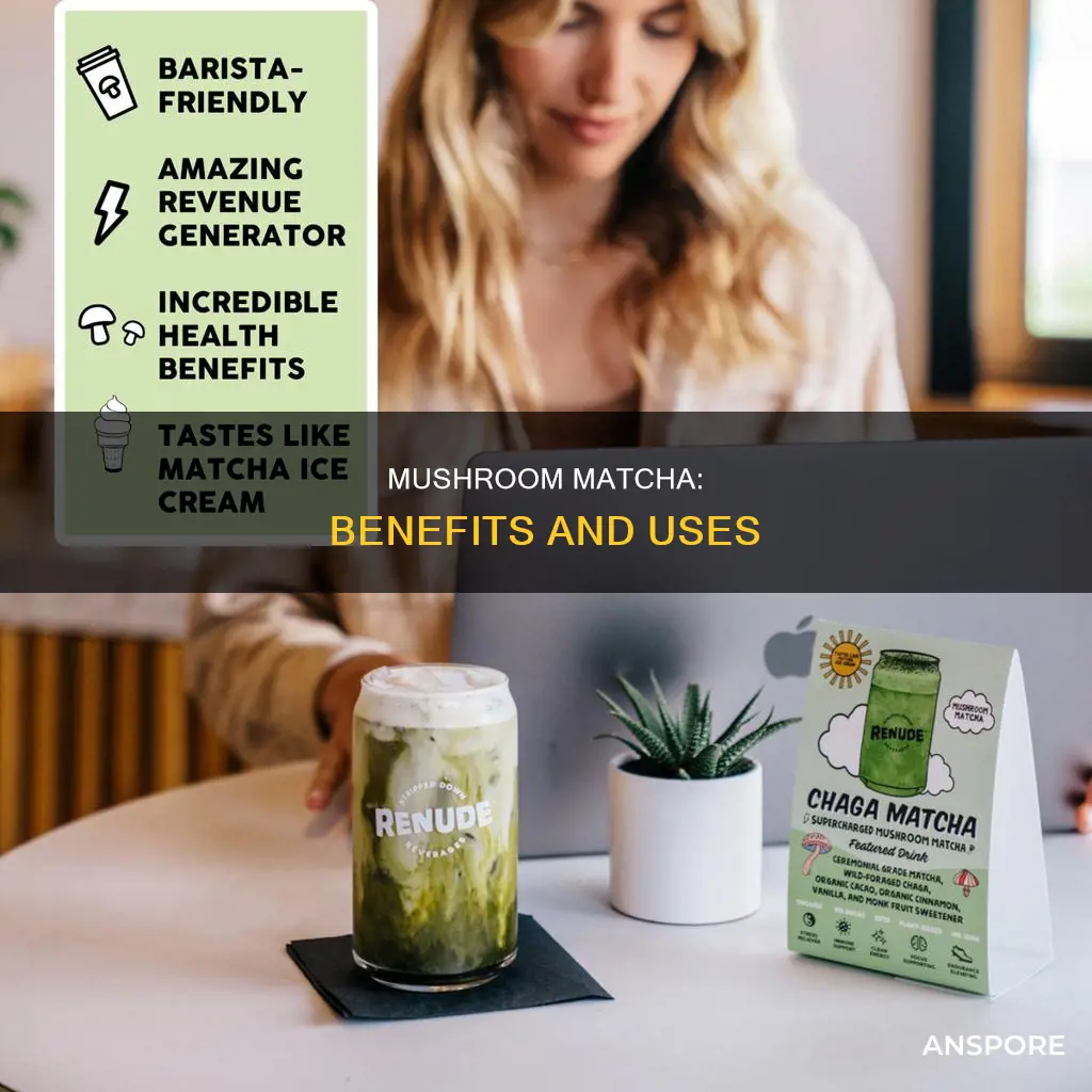 what does mushroom matcha do