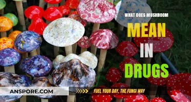 Understanding the Term 'Mushroom' in Drug Culture and Its Implications