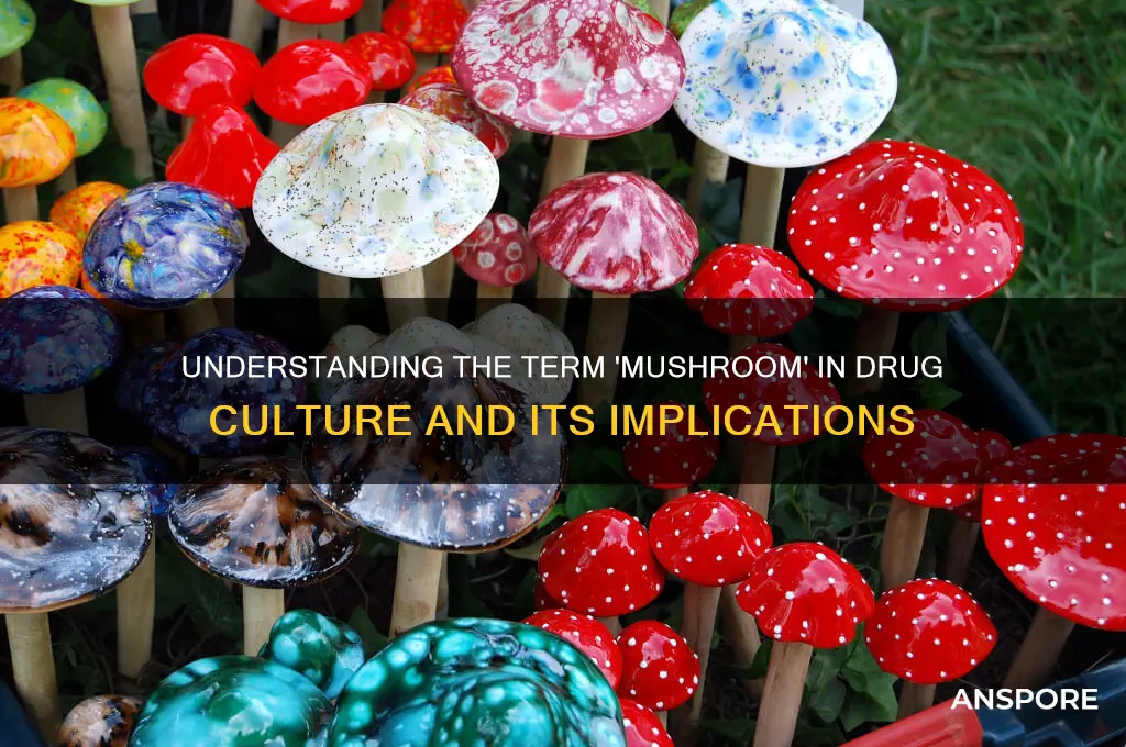 what does mushroom mean in drugs