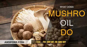 Mushroom Oil Benefits: What You Need to Know