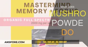 Mushroom Powder Benefits: Superfood for Your Health