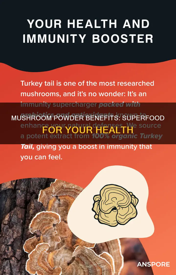 what does mushroom powder do