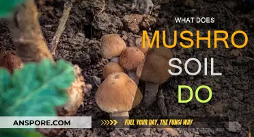 Mushroom Soil: Supercharging Your Garden Growth