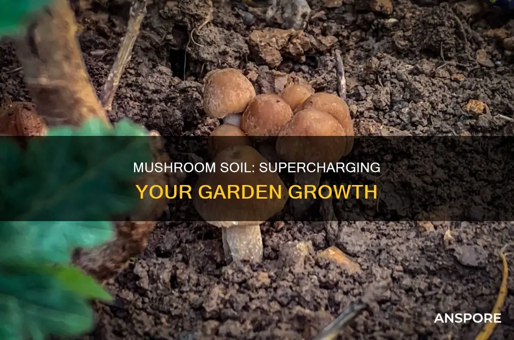 what does mushroom soil do