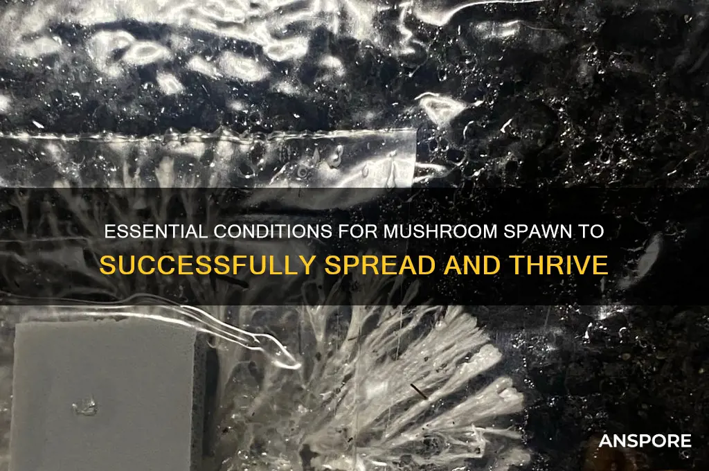 what does mushroom spawn need to spread