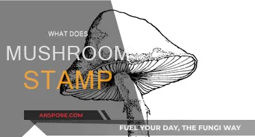 Mushroom Stamp: What's the Deal?