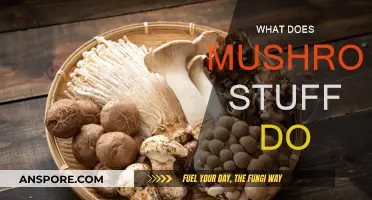 Mushroom Magic: Exploring Fungi's Superpowers