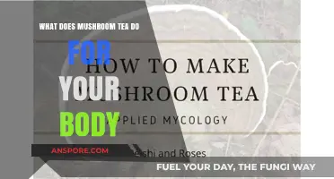 Mushroom Tea Benefits: Boosting Immunity, Energy, and Brain Health Naturally