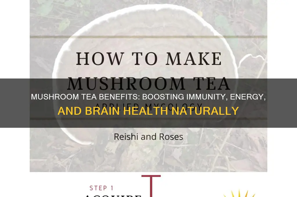 what does mushroom tea do for your body