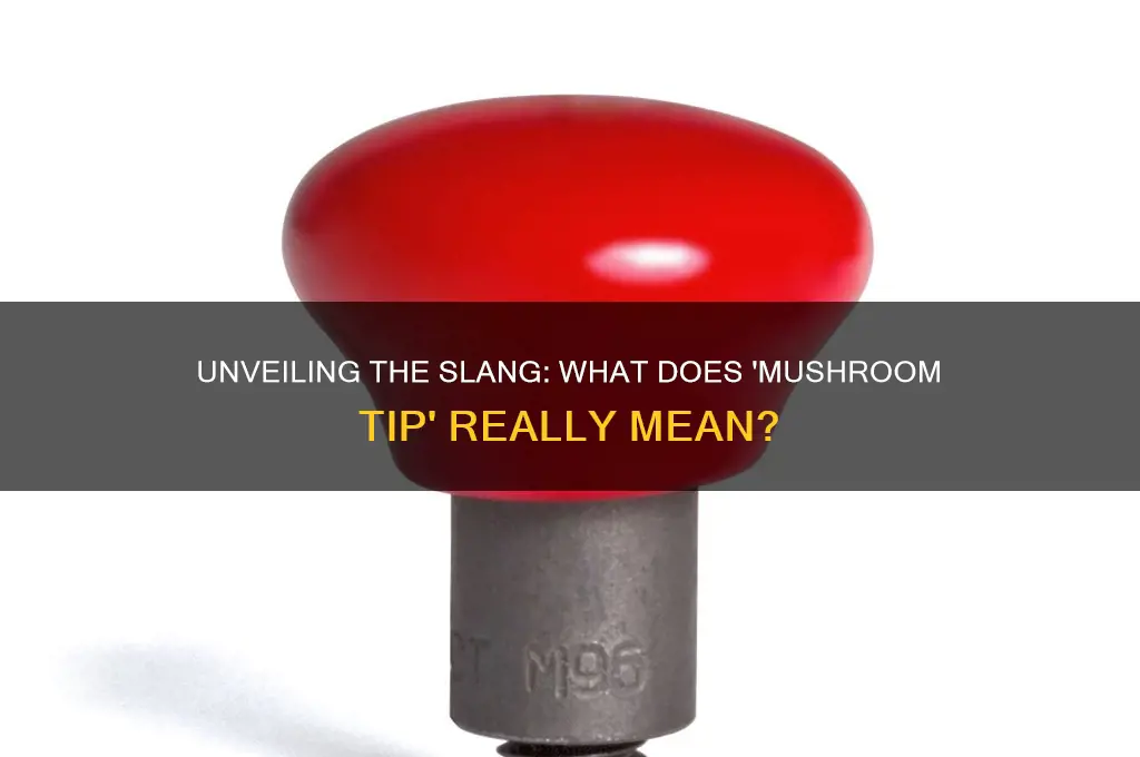 what does mushroom tip mean in slang