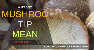Mushroom Tips: What Do They Mean?