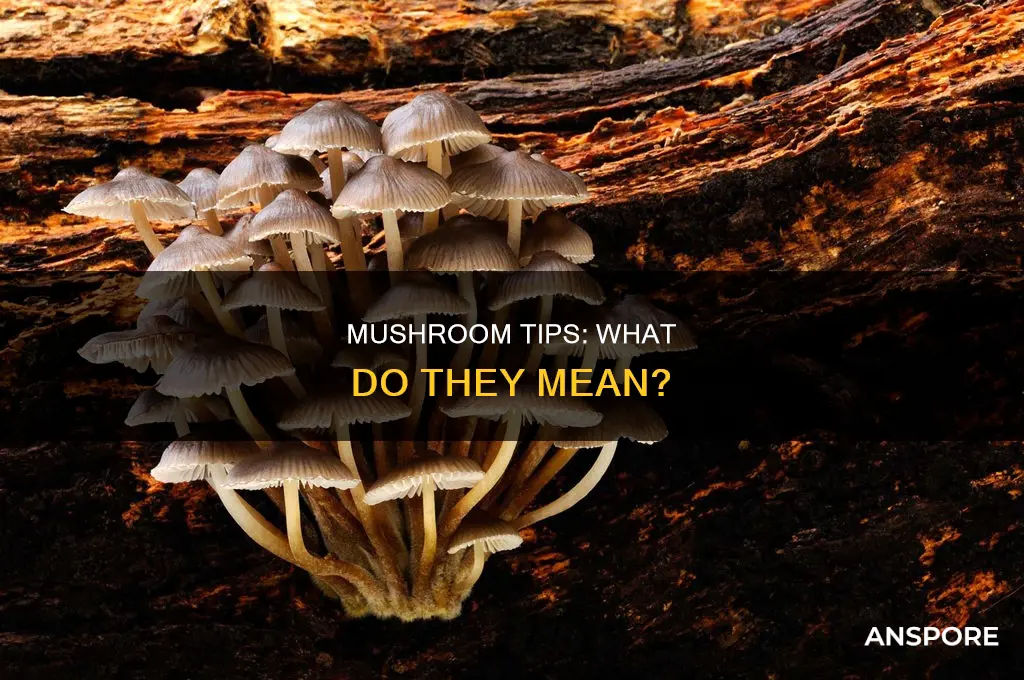 what does mushroom tip mean