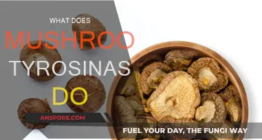 Tyrosinase in Mushrooms: What's Its Function?