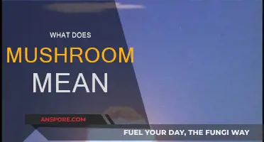 The Intriguing Meaning Behind 'Mushroomed