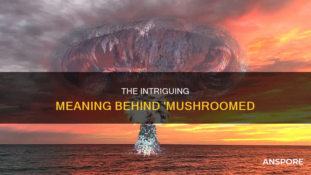 what does mushroomed mean