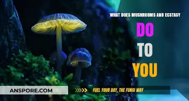 Exploring Mushrooms and Ecstasy: Effects, Risks, and Mind-Altering Experiences