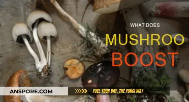 Mushrooms' Magical Boosting Powers for Your Health