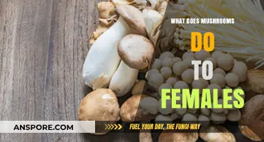 Mushrooms' Impact on Women's Health: Benefits, Risks, and Insights