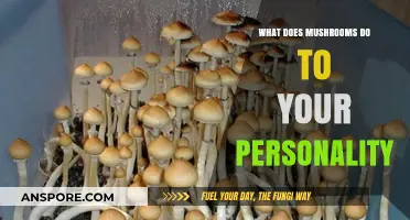 Mushrooms and Mind: Unveiling Personality Shifts and Cognitive Changes