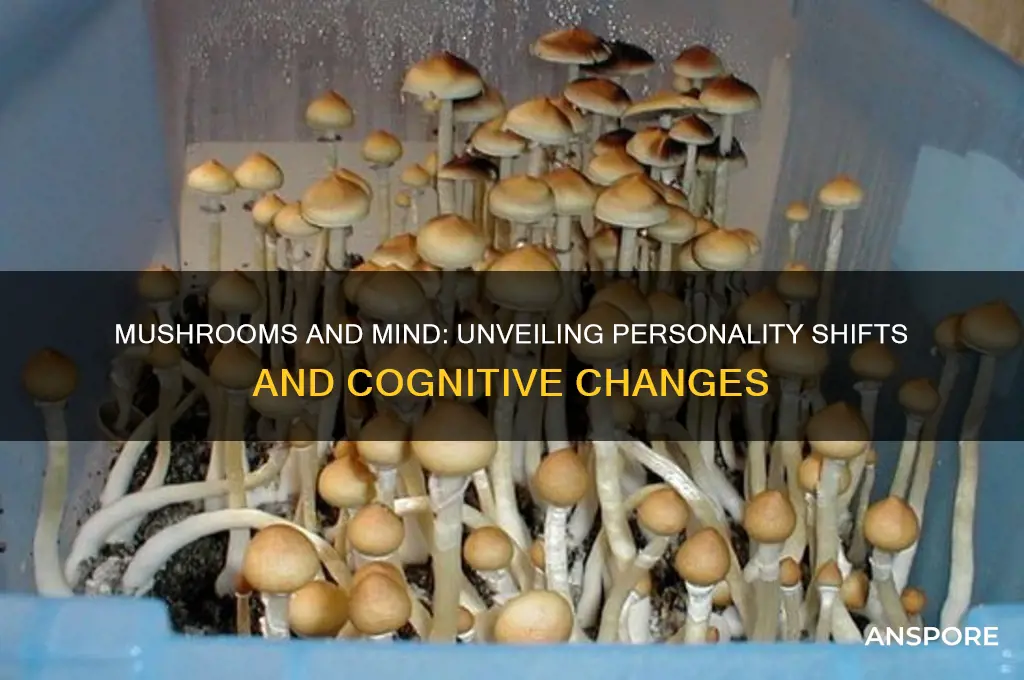 what does mushrooms do to your personality