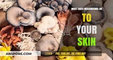 Mushrooms' Magic: Unveiling Their Surprising Skin Benefits and Uses