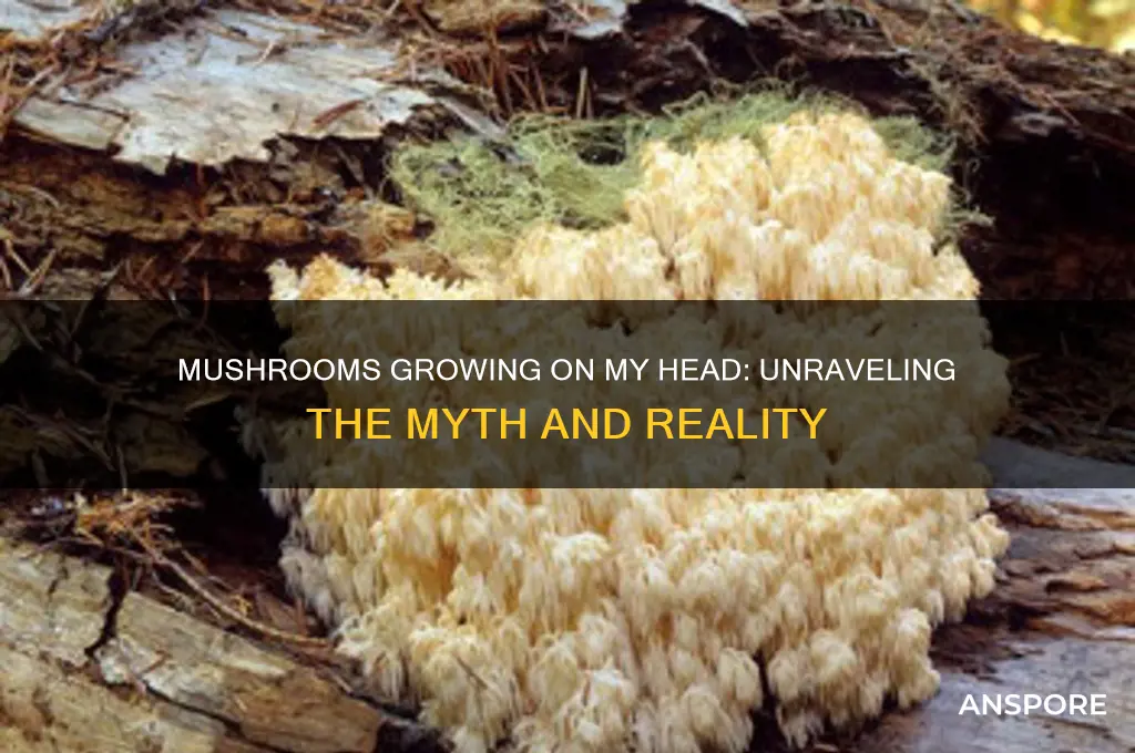 what does mushrooms growing on my head mean