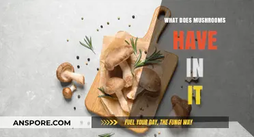 Unveiling Mushroom Nutrition: Vitamins, Minerals, and Health Benefits Explained